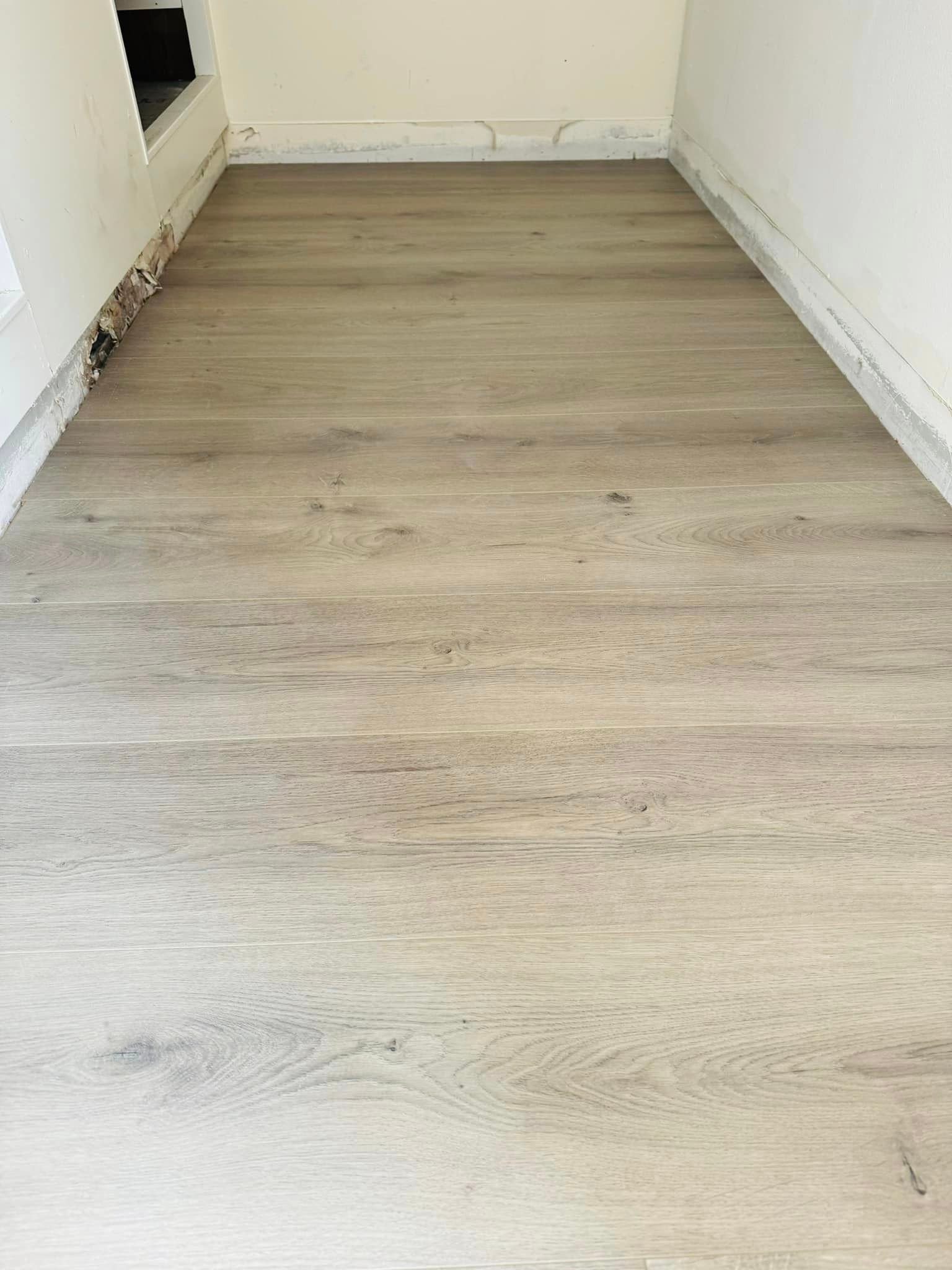 461970436_3695359747460608_1603142030578112425_n